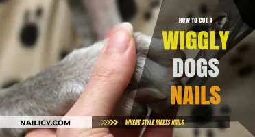 Calmly Trimming Nails: Tips for Wiggly Dogs