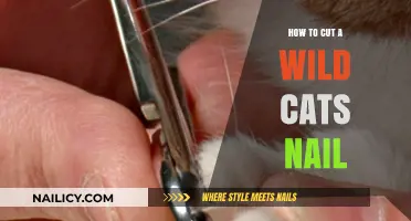 Trimming Wild Cat's Nails: A Step-by-Step Guide