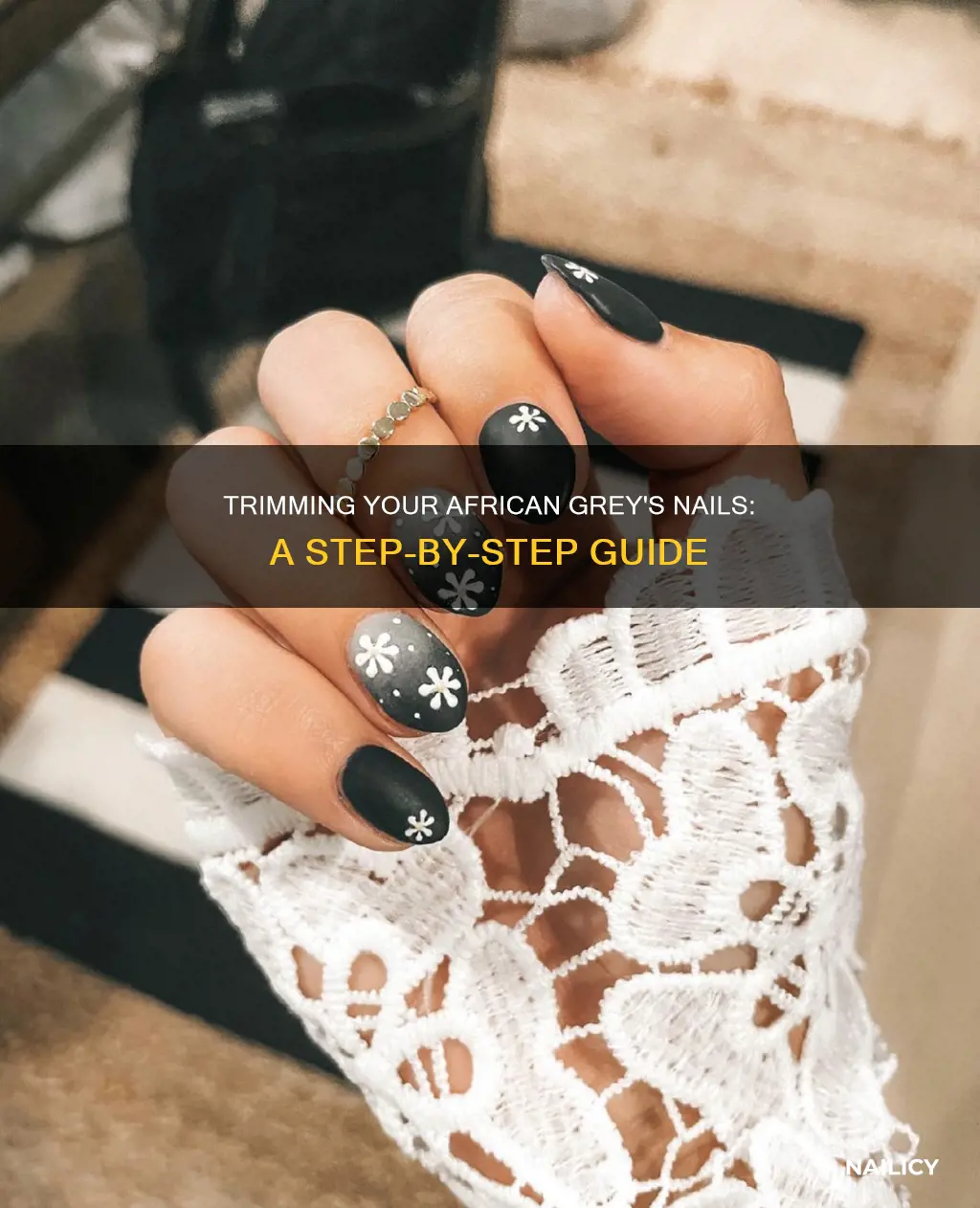 how to cut african grey nails
