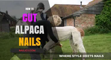 Trimming Alpaca Nails: A Step-by-Step Guide