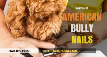 Trimming Your Bully: Nail Care Guide