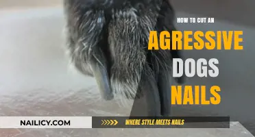 Trimming an Aggressive Dog's Nails: A Step-by-Step Guide