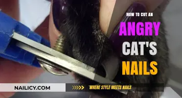 Calmly Trim Your Cat's Nails: A Step-by-Step Guide