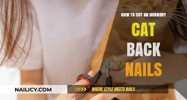 Trimming Cat Claws: A Step-by-Step Guide for Back Nails