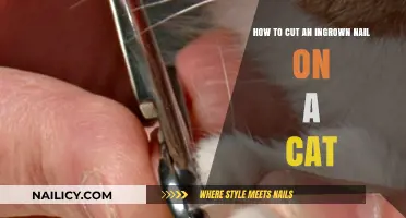 Trimming Your Cat's Ingrown Nails: A Step-by-Step Guide