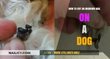 Trimming Your Dog's Ingrown Nails: A Step-by-Step Guide