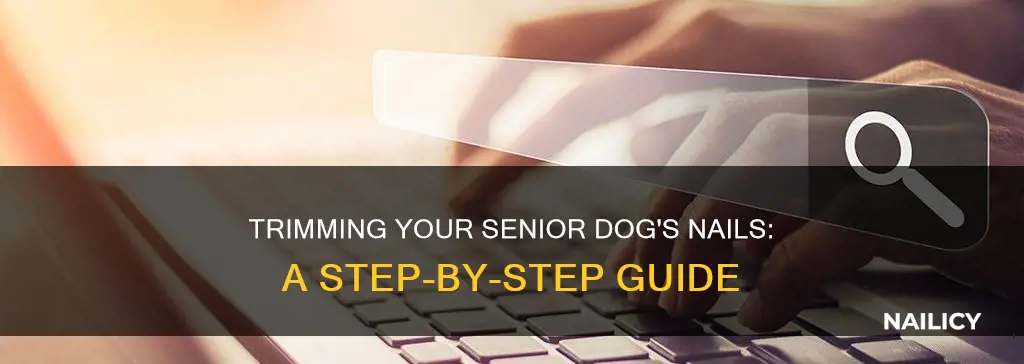 how to cut an old dog