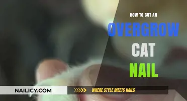 Trimming Your Cat's Overgrown Nails: A Step-by-Step Guide