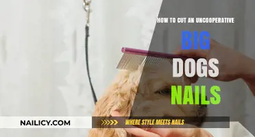 Tackling Nail Trims for Big, Uncooperative Dogs