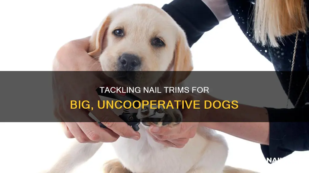 how to cut an uncooperative big dogs nails