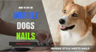 Trimming Your Dog's Nails: A Step-by-Step Guide