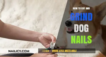 Trimming and Grinding: Dog Nail Care at Home