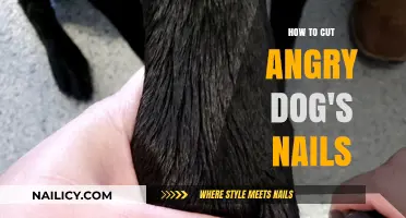 Calmly Trimming Your Dog's Nails: A Step-by-Step Guide