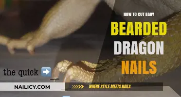 Trimming Your Baby Bearded Dragon's Nails: A Step-by-Step Guide