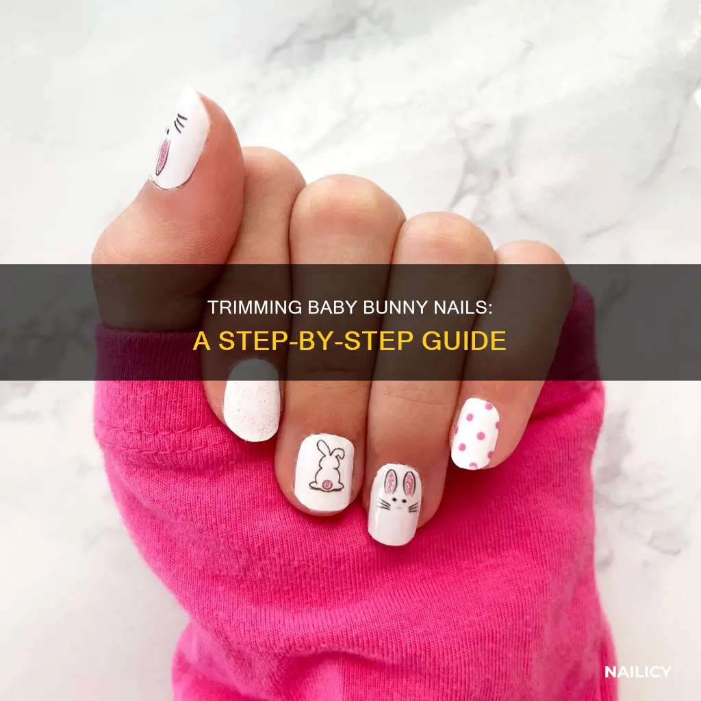 how to cut baby bunny nails