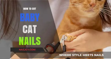 Trimming Your Kitten's Claws: A Step-by-Step Guide