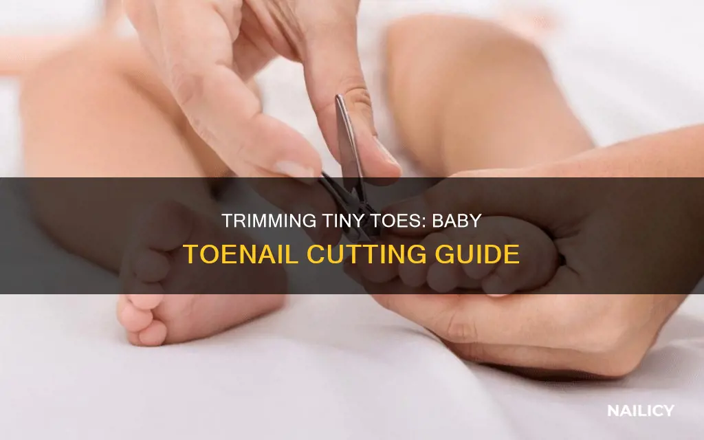 how to cut baby toe nails