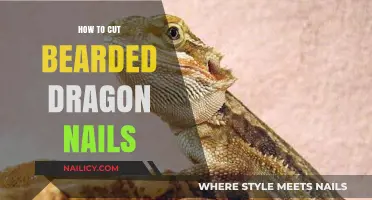 Trimming Your Bearded Dragon's Nails: A Step-by-Step Guide