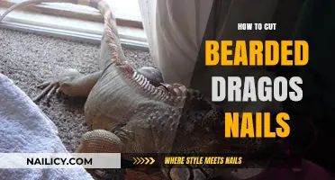 Trimming Nails: A Bearded Dragon's Manicure Guide