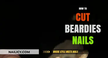 Trimming Your Beardie's Nails: A Step-by-Step Guide