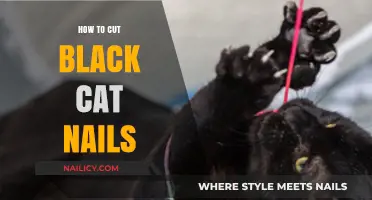 Trimming Black Cat Nails: A Step-by-Step Guide