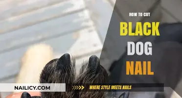 Trimming Black Dog Nails: A Safe and Easy Guide