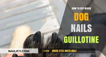 Trimming Black Dog Nails: The Safe Guillotine Method