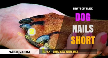 Trimming Black Dog Nails: A Short Guide