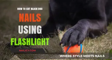 Safely Trimming Your Black Dog's Nails with a Flashlight