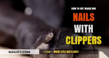 Clipping Black Dog Nails: A Safe and Easy Guide