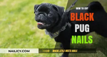 Trimming Your Black Pug's Nails: A Step-by-Step Guide