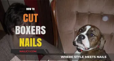 Trimming Your Boxer's Nails: A Quick Guide