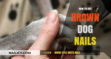 Trimming Dark Nails: A Guide for Dog Owners