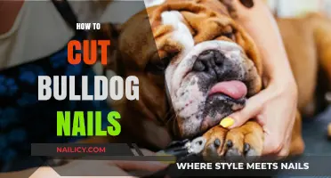 Trimming Your Bulldog's Nails: A Step-by-Step Guide