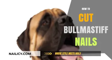 Trimming Your Bullmastiff's Nails: A Step-by-Step Guide