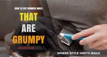 Calmly Trimming Grumpy Bunnies' Nails