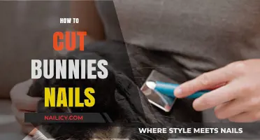Trimming Bunny Nails: A Step-by-Step Guide