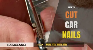 Trimming Your Pet's Nails: A Step-by-Step Guide