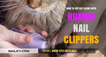 Trimming Cat Claws: Using Human Nail Clippers Safely
