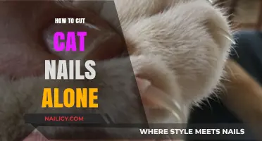 Trimming Your Cat's Nails: A Solo Guide