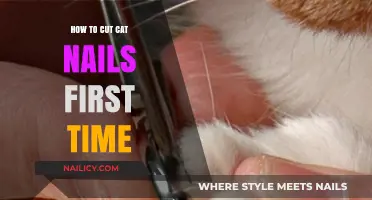 Trimming Your Cat's Nails: A Beginner's Guide