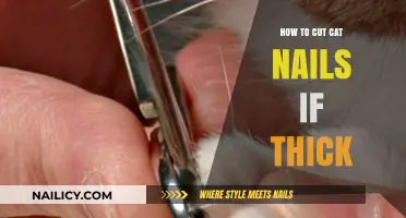 Trimming Thick Cat Nails: A Step-by-Step Guide