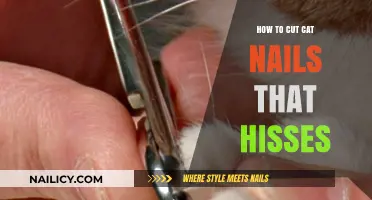 Calmly Trim Your Cat's Nails: Tips for Hissing Cats