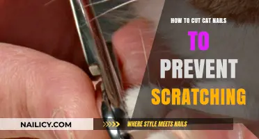 Trimming Cat Nails: Prevent Scratching and Irritation