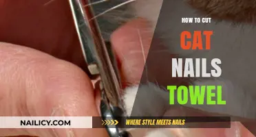 Trimming Cat Nails: The Towel Trick