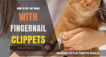 Trimming Cat Nails: Using Human Fingernail Clippers