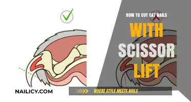 Mastering Safe Cat Nail Trimming with Scissors