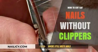 Trimming Cat Nails: Clipper-Free Methods for Nail Care