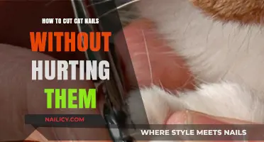 Trim Cat Nails: Safe and Easy Techniques