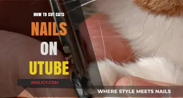 Trimming Cat Claws: YouTube Tutorial for Beginners